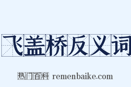 飞盖桥反义词是什么意思的图片